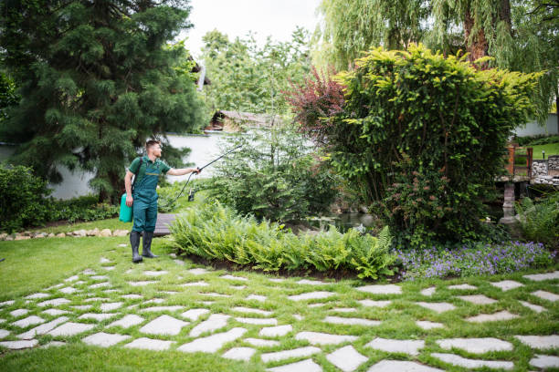 Best Residential Pest Control  in Ocean Shores, WA