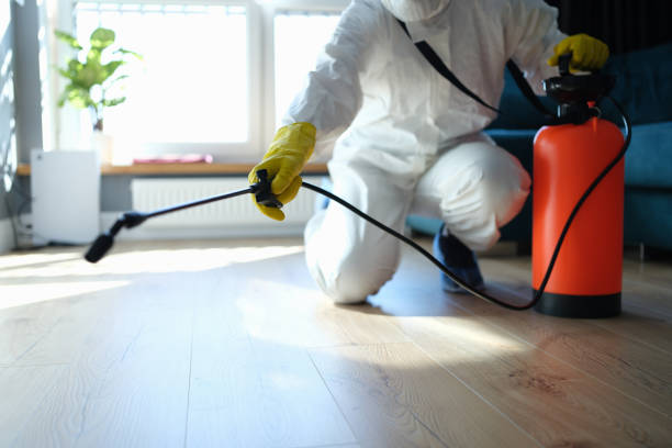 Best Affordable Pest Control Services  in Ocean Shores, WA