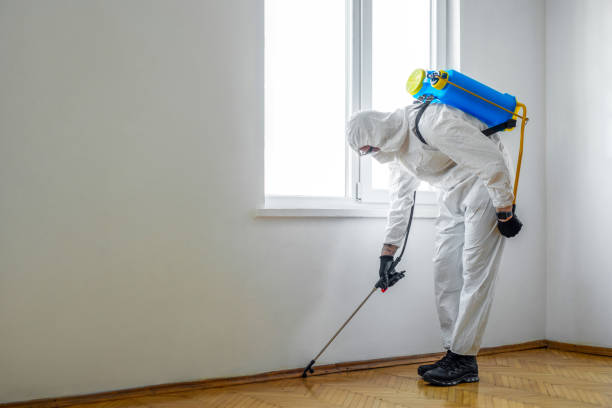 Best Pest Prevention Services  in Ocean Shores, WA