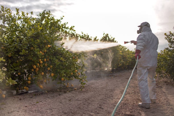 Best Mosquito Control Services  in Ocean Shores, WA