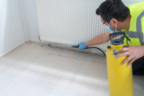 Best Best Pest Control Companies  in Ocean Shores, WA
