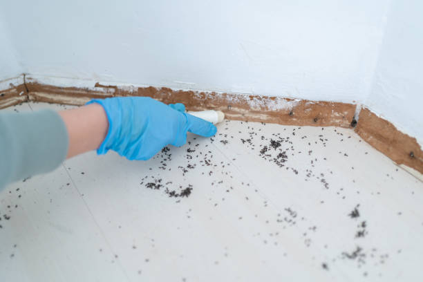 Pest Control Cost in Ocean Shores, WA