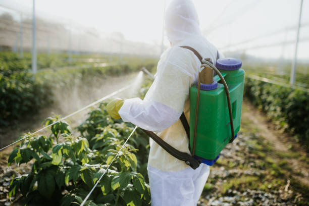 Best Bed Bug Extermination  in Ocean Shores, WA